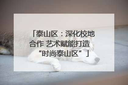 泰山区：深化校地合作 艺术赋能打造“时尚泰山区”