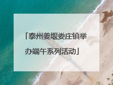 泰州姜堰娄庄镇举办端午系列活动
