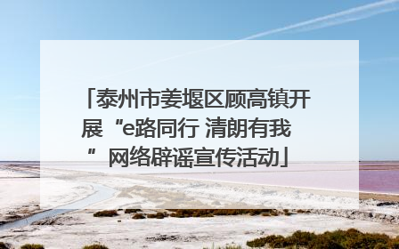 泰州市姜堰区顾高镇开展“e路同行 清朗有我”网络辟谣宣传活动
