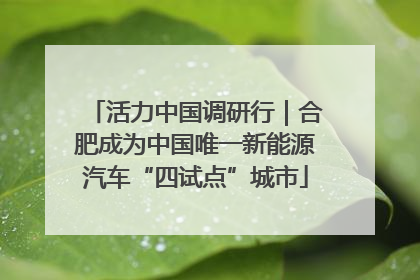 活力中国调研行｜合肥成为中国唯一新能源汽车“四试点”城市