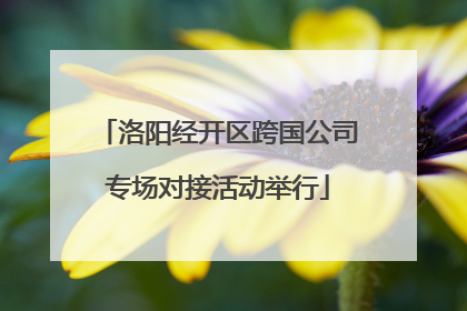 洛阳经开区跨国公司专场对接活动举行