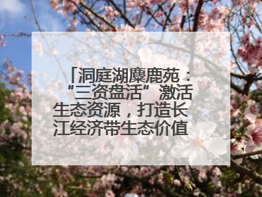 洞庭湖麋鹿苑：“三资盘活”激活生态资源，打造长江经济带生态价值转化新标杆