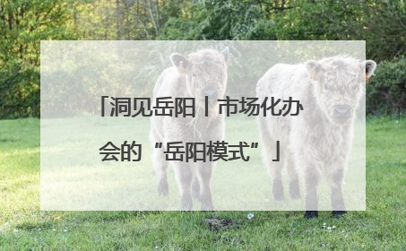 洞见岳阳丨市场化办会的“岳阳模式”