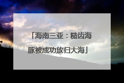 海南三亚：糙齿海豚被成功放归大海