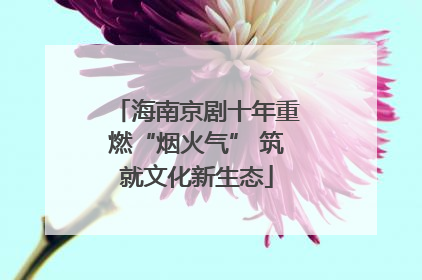 海南京剧十年重燃“烟火气” 筑就文化新生态