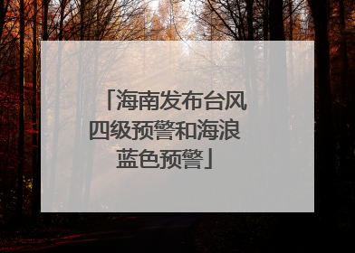 海南发布台风四级预警和海浪蓝色预警