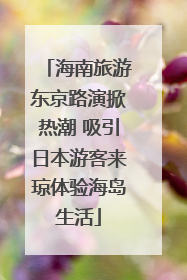 海南旅游东京路演掀热潮 吸引日本游客来琼体验海岛生活