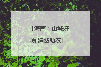 海南：山城好物 消费助农
