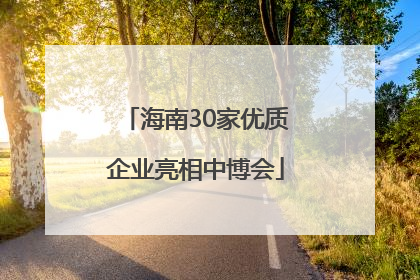 海南30家优质企业亮相中博会