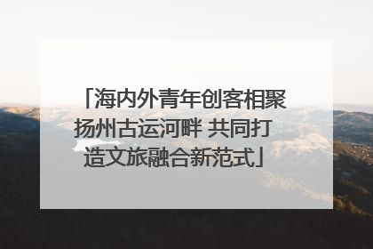 海内外青年创客相聚扬州古运河畔 共同打造文旅融合新范式