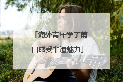 海外青年学子莆田感受非遗魅力