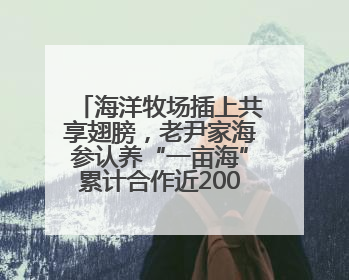 海洋牧场插上共享翅膀，老尹家海参认养“一亩海”累计合作近200企业客户
