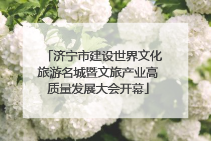 济宁市建设世界文化旅游名城暨文旅产业高质量发展大会开幕