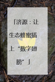济源：让生态蜂蜜插上“数字翅膀”