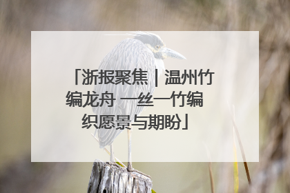 浙报聚焦｜温州竹编龙舟 一丝一竹编织愿景与期盼