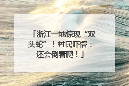 浙江一地惊现“双头蛇”！村民吓懵：还会倒着爬！