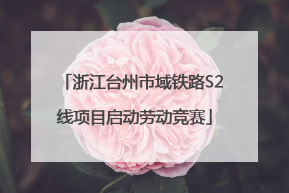 浙江台州市域铁路S2线项目启动劳动竞赛