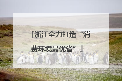 浙江全力打造“消费环境最优省”
