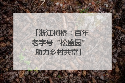 浙江柯桥：百年老字号“松盛园”助力乡村共富