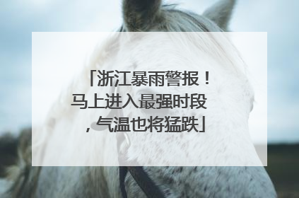 浙江暴雨警报！马上进入最强时段，气温也将猛跌