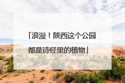 浪漫！陕西这个公园都是诗经里的植物
