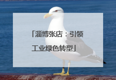 淄博张店：引领工业绿色转型