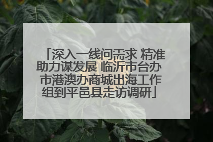 深入一线问需求 精准助力谋发展 临沂市台办 市港澳办商城出海工作组到平邑县走访调研