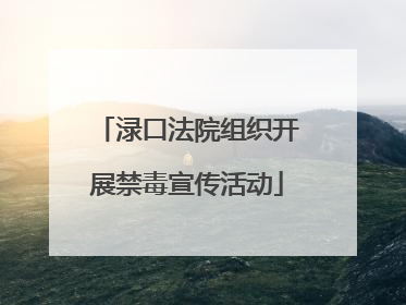 渌口法院组织开展禁毒宣传活动
