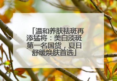 温和养肤祛斑再添猛将：美白淡斑第一名国货，夏日舒缓焕肤首选