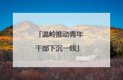 温岭推动青年干部下沉一线