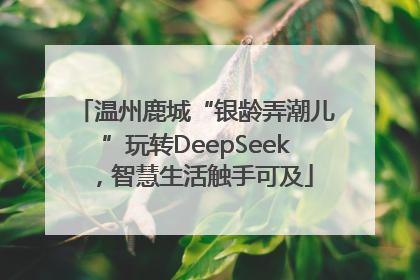 温州鹿城“银龄弄潮儿”玩转DeepSeek，智慧生活触手可及