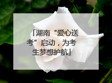 湖南“爱心送考”启动，为考生梦想护航