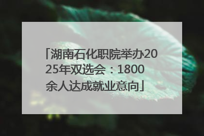 湖南石化职院举办2025年双选会：1800余人达成就业意向