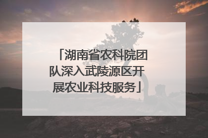 湖南省农科院团队深入武陵源区开展农业科技服务
