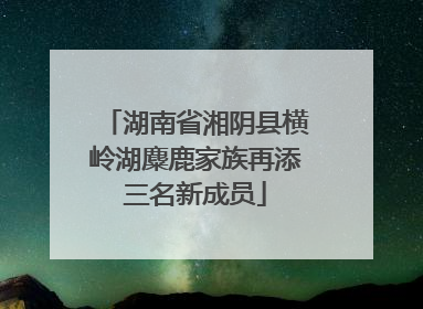 湖南省湘阴县横岭湖麋鹿家族再添三名新成员