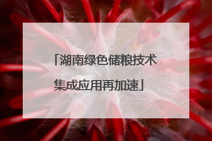湖南绿色储粮技术集成应用再加速