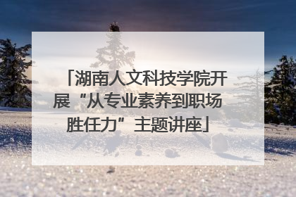 湖南人文科技学院开展“从专业素养到职场胜任力”主题讲座
