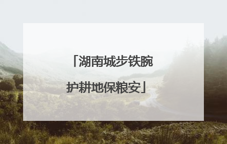 湖南城步铁腕护耕地保粮安
