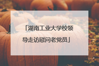 湖南工业大学校领导走访慰问老党员