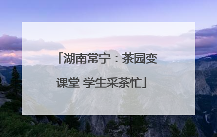 湖南常宁：茶园变课堂 学生采茶忙