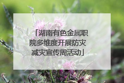 湖南有色金属职院多维度开展防灾减灾宣传周活动