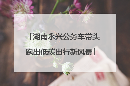 湖南永兴公务车带头跑出低碳出行新风景