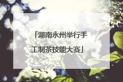 湖南永州举行手工制茶技能大赛