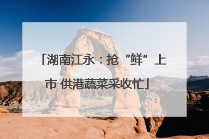 湖南江永：抢“鲜”上市 供港蔬菜采收忙