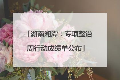 湖南湘潭：专项整治周行动成绩单公布