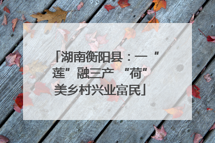 湖南衡阳县：一“莲”融三产 “荷”美乡村兴业富民