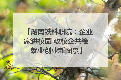 湖南铁科职院：企业家进校园 政校企共绘就业创业新图景