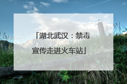 湖北武汉：禁毒宣传走进火车站