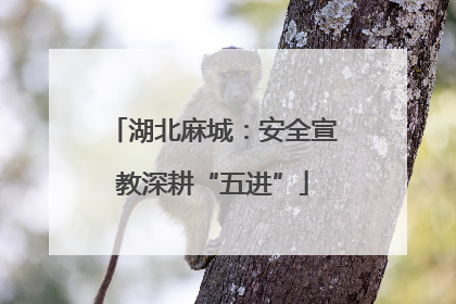 湖北麻城：安全宣教深耕“五进”