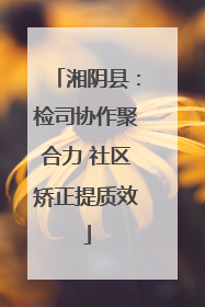 湘阴县：检司协作聚合力 社区矫正提质效